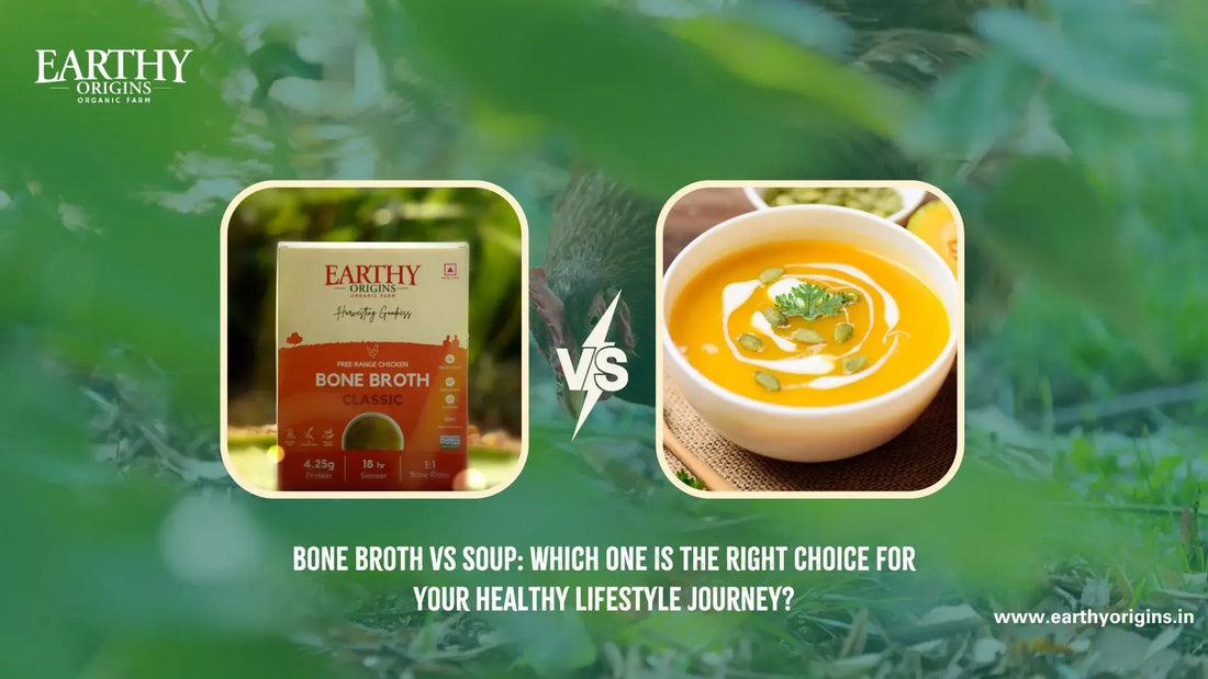Bone Broth vs Soup: Which One Is the Right Choice for Your Healthy Lifestyle Journey?