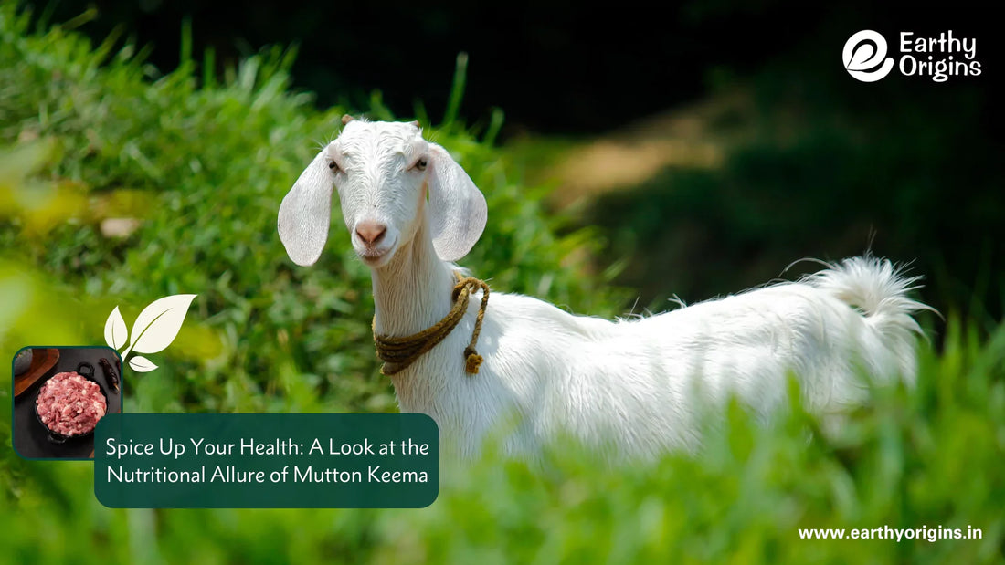 Nutritional Facts: How Mutton Keema is Good For Your Health