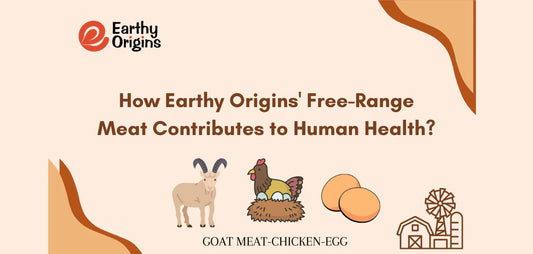 How Earthy Origins' Free Range Meat Contributes to Human Health?