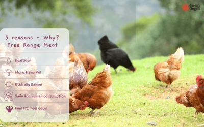 5 Reasons why should choose Earthy Origins free-range meat?