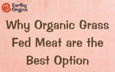 Why Organic Grass Fed Meat are the Best Option?