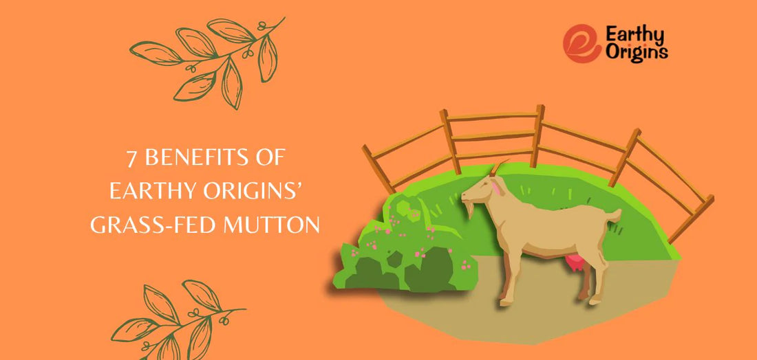 7 Benefits of Earthy Origins’ Grass-Fed Mutton