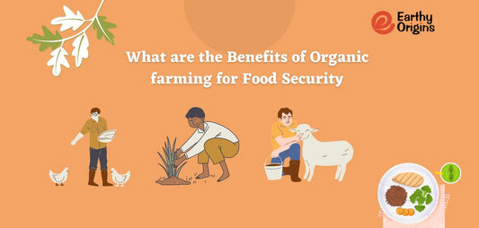 Organic farming for Food Security