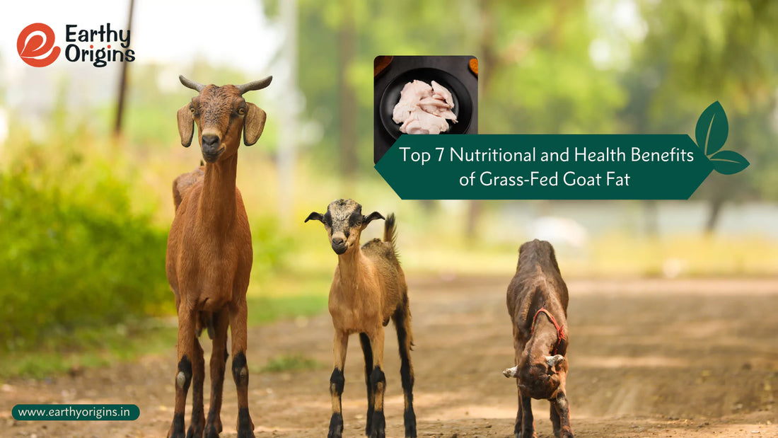 Nutritional and Health Benefits of Grass-Fed Goat Fat