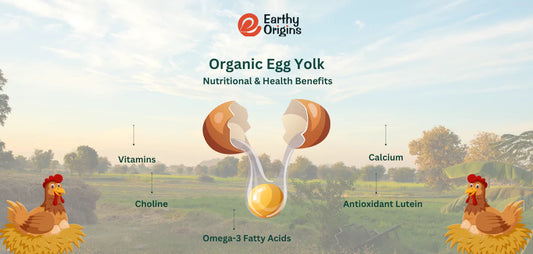 Organic Egg Yolk: Interesting Nutrition Facts and Benefits