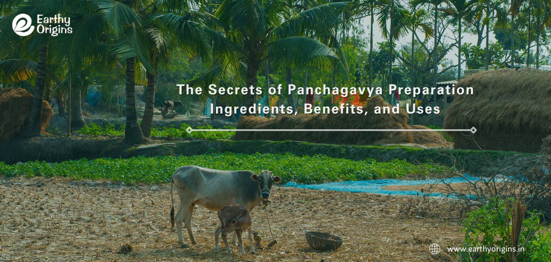 Panchagavya - Preparation, Ingredients, Benefits, and Uses