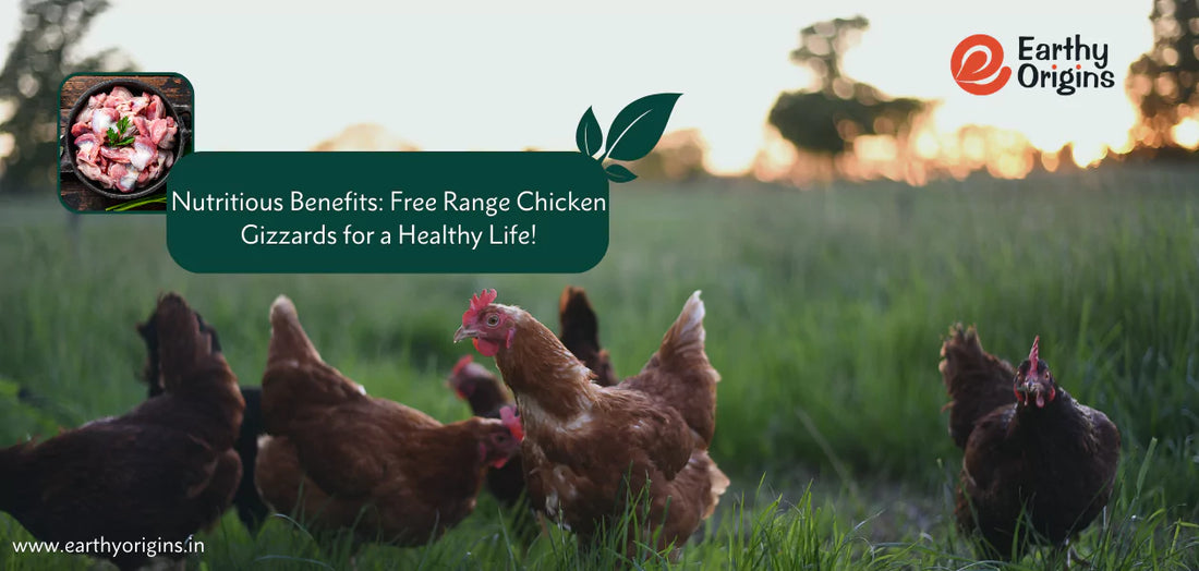 Nutritious Benefits: Free Range Chicken Gizzards for a Healthy Life!