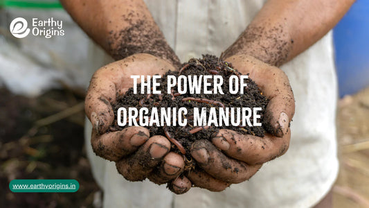 Our Free Range Farm Blog | Sustainable | Agriculture – Earthy Origins