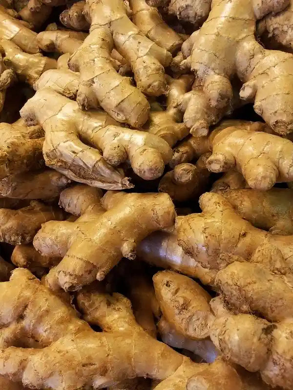 Ginger
