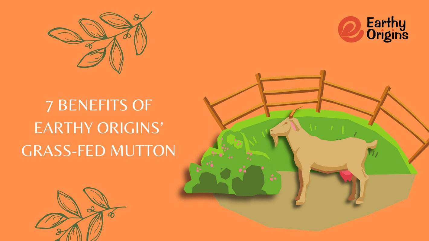 Benefits Of Grass Fed Mutton