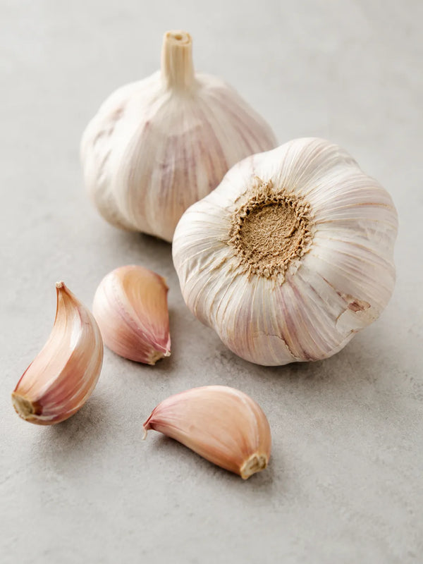 Garlic